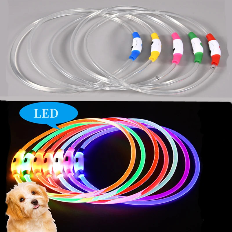 Collar LED Perro Gato Recargable COOYOMOO Seguridad Nocturna