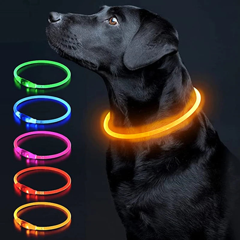 Collar LED Perro Gato Recargable COOYOMOO Seguridad Nocturna