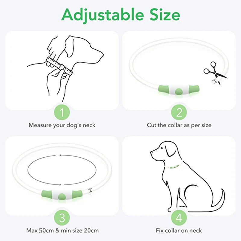 Collar LED Perro Gato Recargable COOYOMOO Seguridad Nocturna