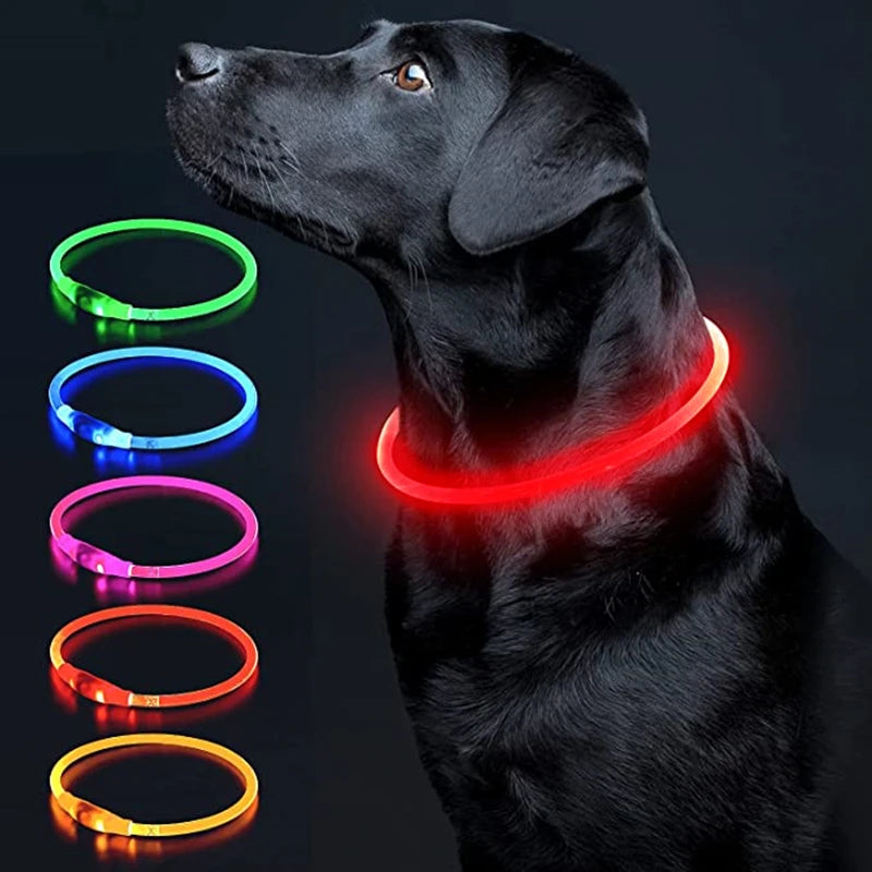 Collar LED Perro Gato Recargable COOYOMOO Seguridad Nocturna