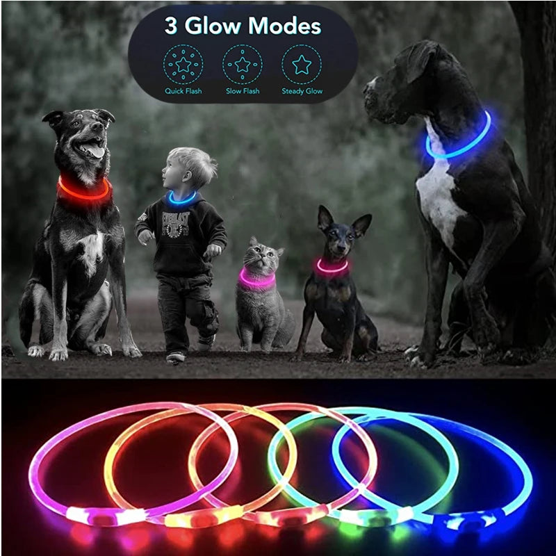 Collar LED Perro Gato Recargable COOYOMOO Seguridad Nocturna