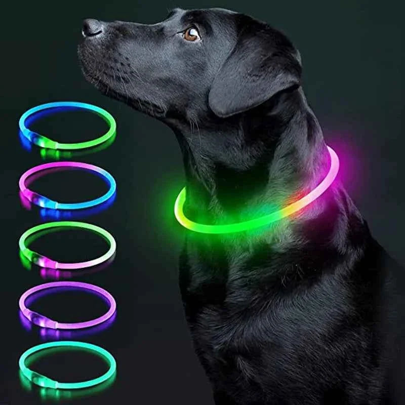 Mascotas > Accesorios para Perros > Collares