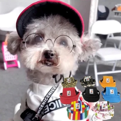 Mascotas