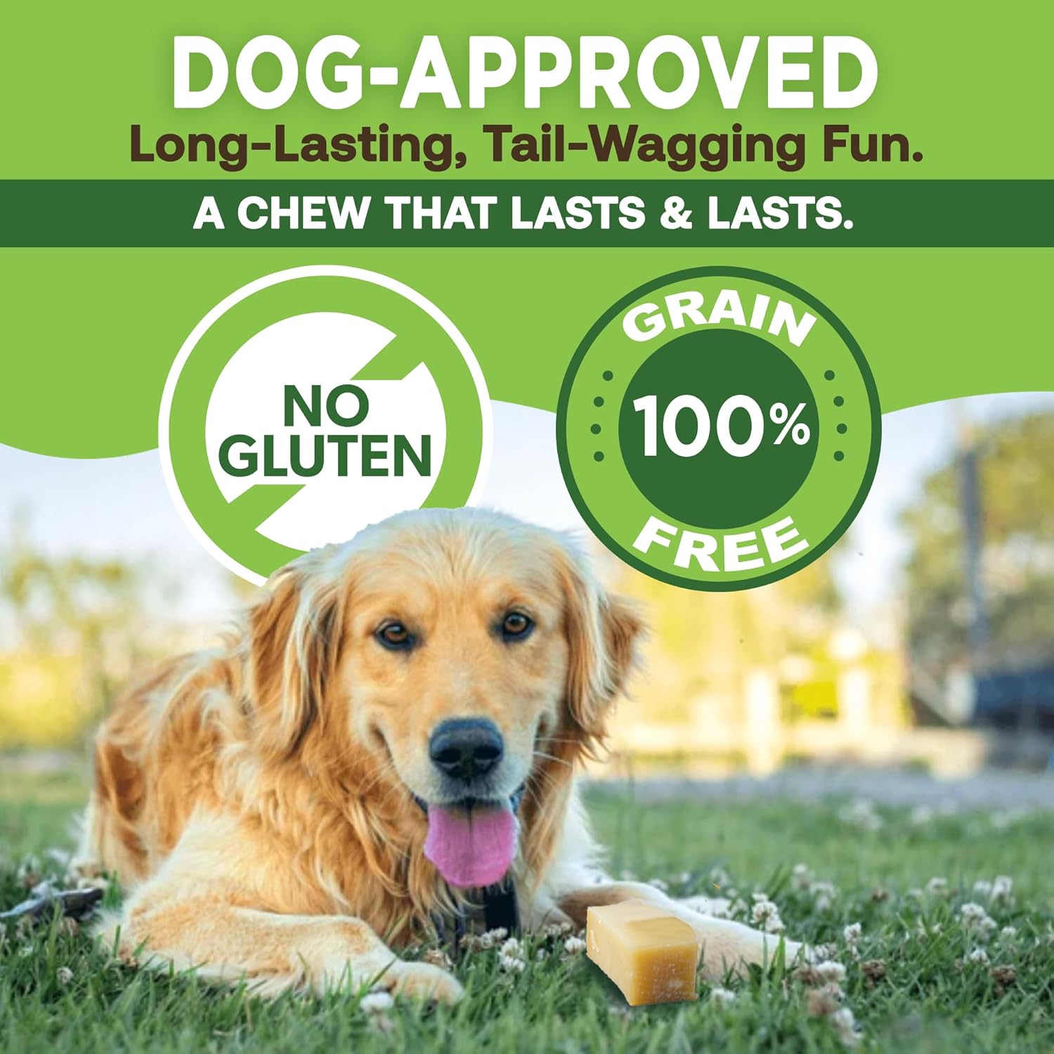 EcoKind GIANT Gold Yak Chews