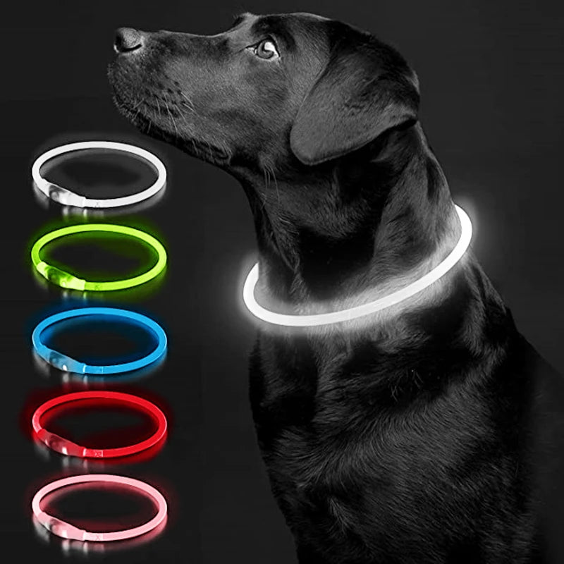 Collar LED Perro Gato Recargable COOYOMOO Seguridad Nocturna