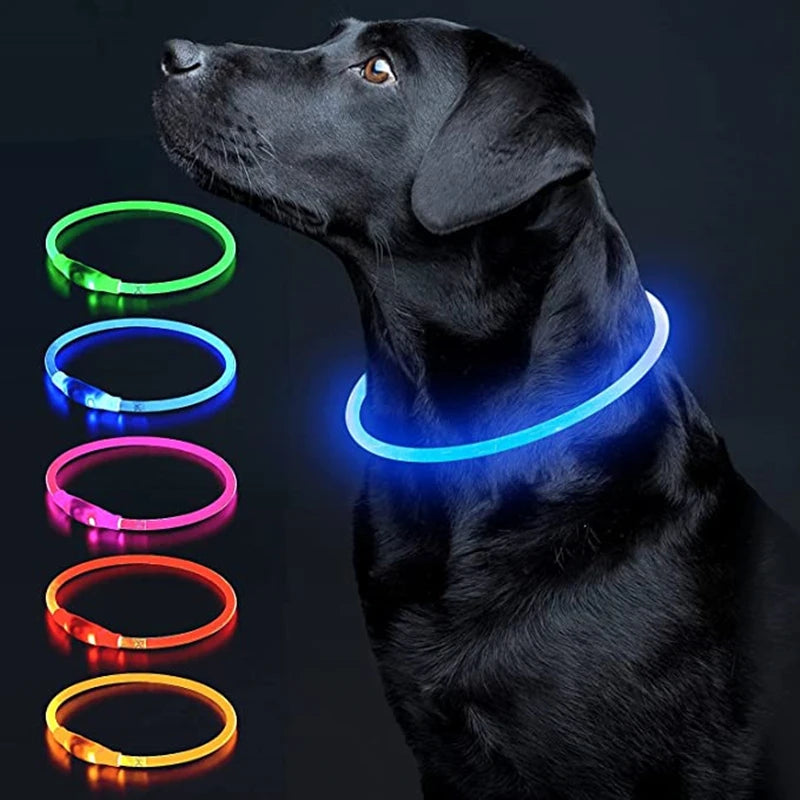 Collar LED Perro Gato Recargable COOYOMOO Seguridad Nocturna