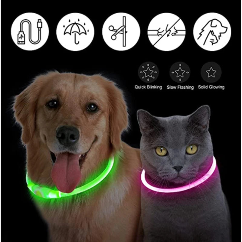 Collar LED Perro Gato Recargable COOYOMOO Seguridad Nocturna