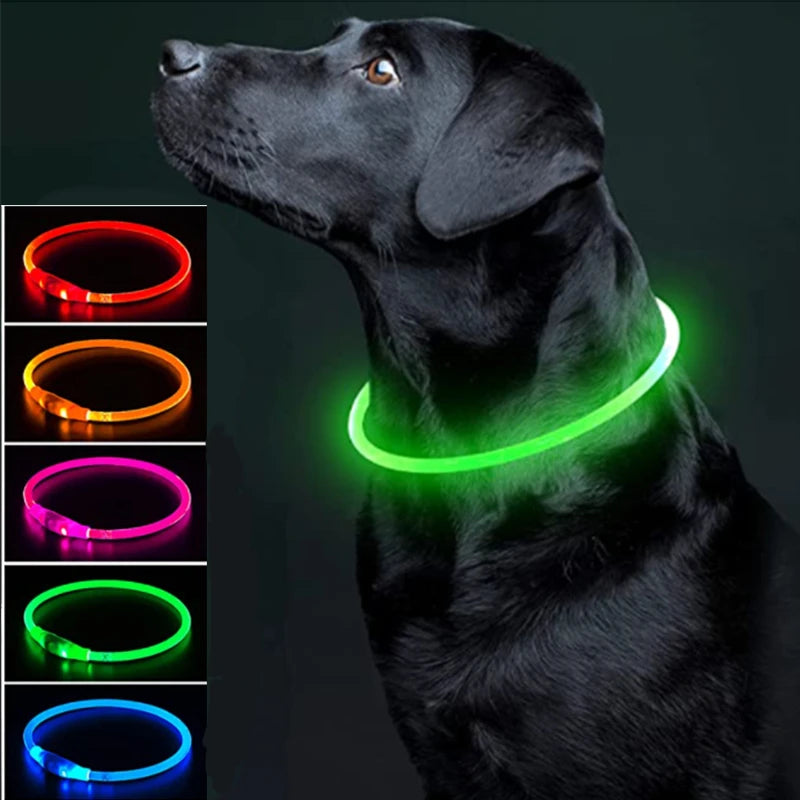 Collar LED Perro Gato Recargable COOYOMOO Seguridad Nocturna