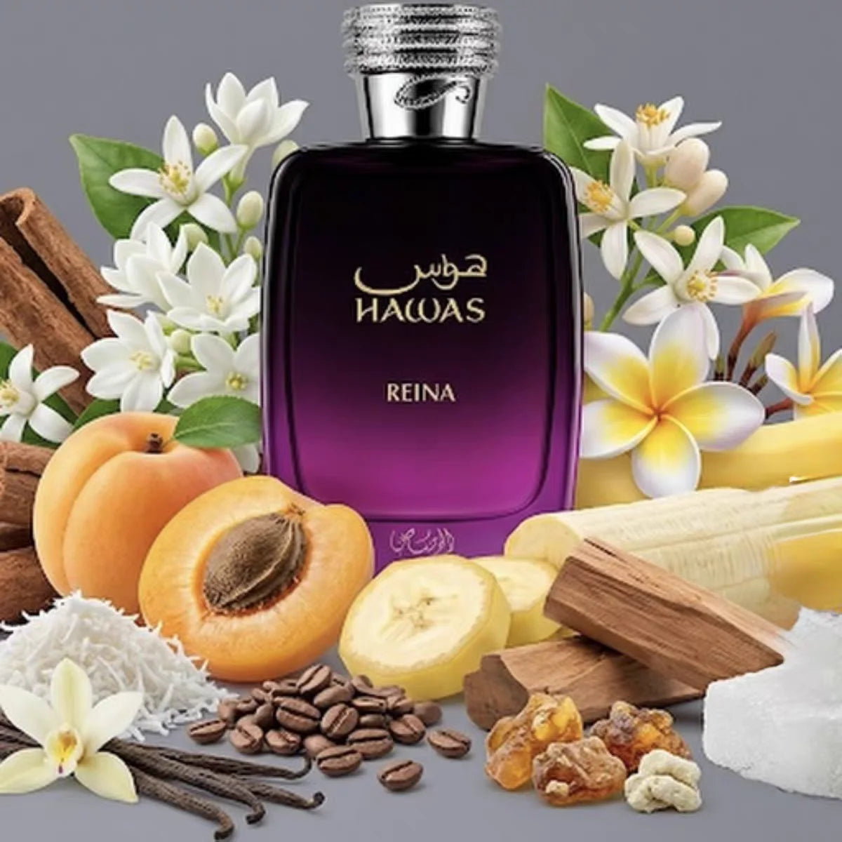 Hawas Reina, Perfume en Botella Morado-Negro Degradado co...