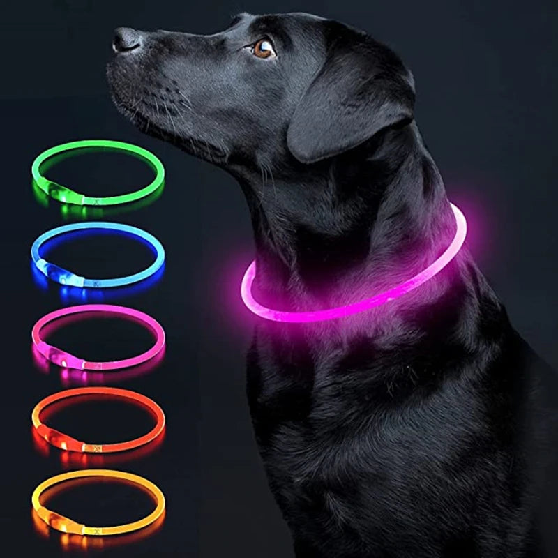 Collar LED Perro Gato Recargable COOYOMOO Seguridad Nocturna