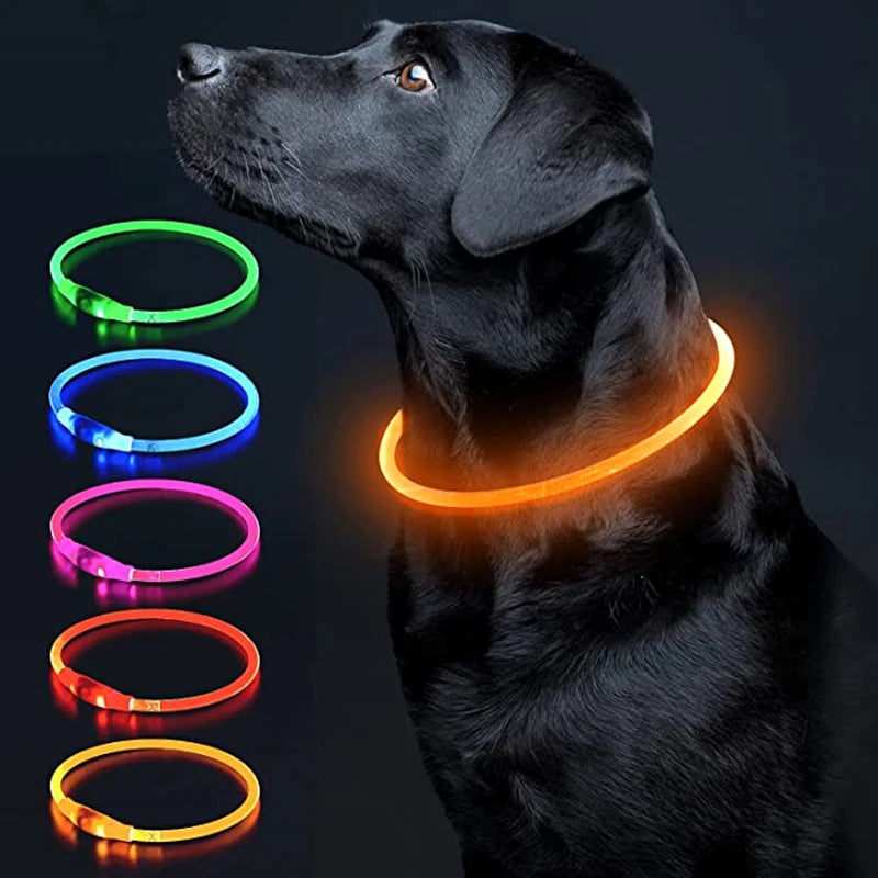 Collar LED Perro Gato Recargable COOYOMOO Seguridad Nocturna