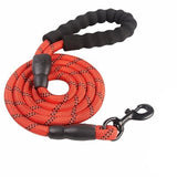 red Correa de perro reflectante by malltor sold by malltor