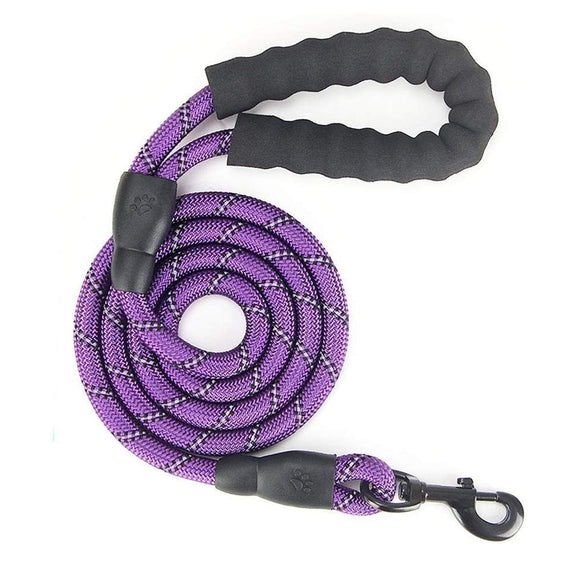 purple Correa de perro reflectante by malltor sold by malltor