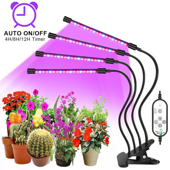 Lampara Phytolamp para plantas - Malltor