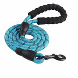 light blue Correa de perro reflectante by malltor sold by malltor