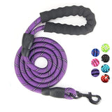 purple Correa de perro reflectante by malltor sold by malltor