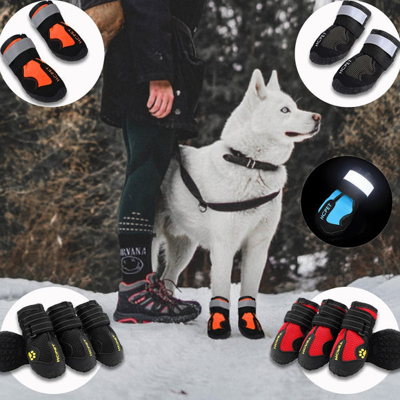 Botas reflectantes impermeables para perros - Malltor