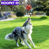 as photo Bola interactiva para mascotas by malltor sold by malltor