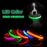 Yellow ButtonBattery Cinto de Perro by malltor sold by malltor